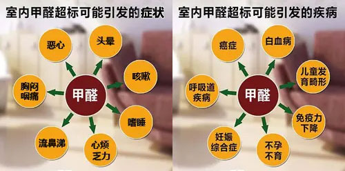 擔(dān)心家里甲醛超標(biāo)，教您一招，安安心心住新家！