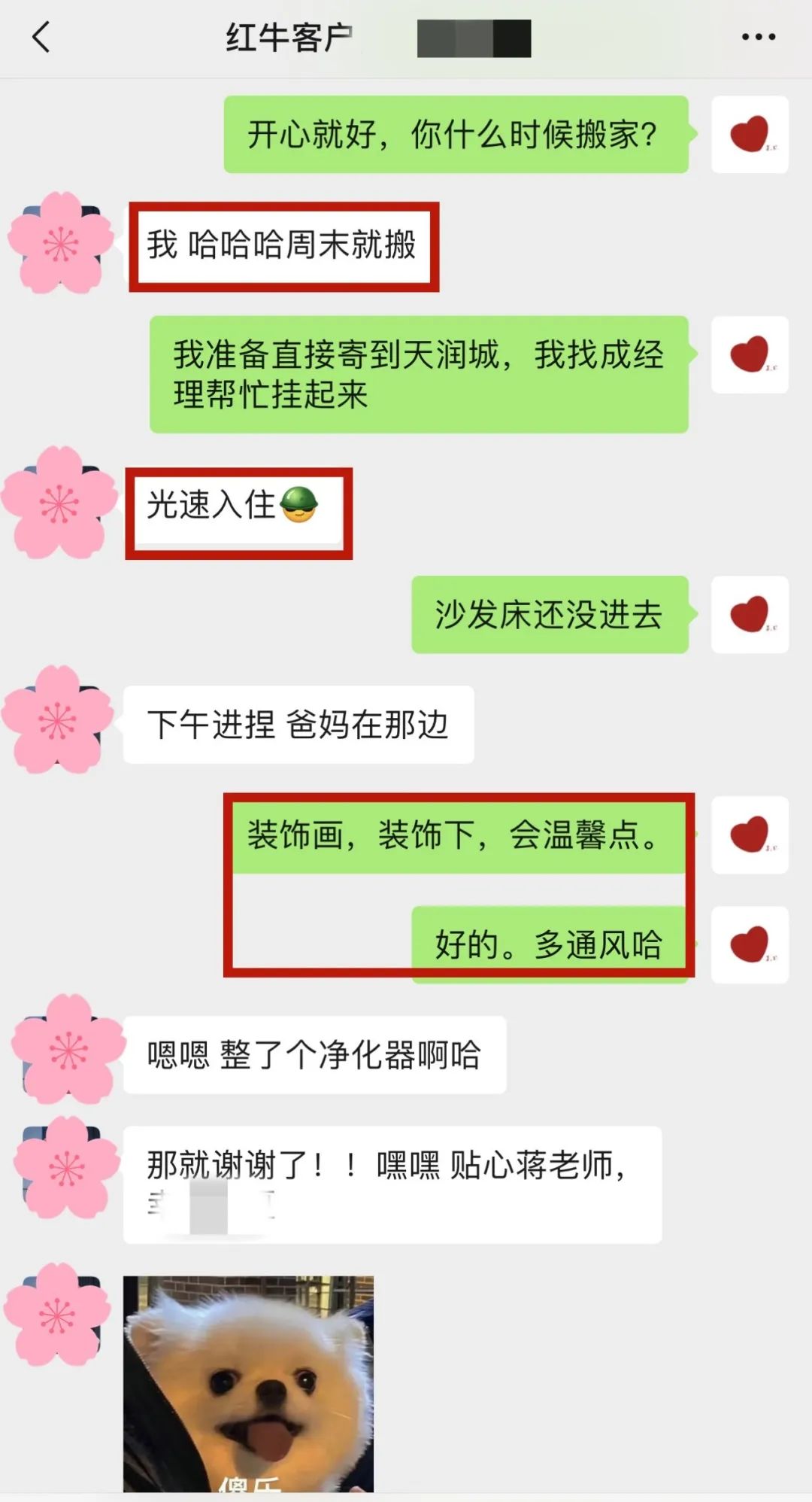 喜報(bào)｜金秋十月，收獲滿滿，紅牛裝飾再獲三面錦旗！05